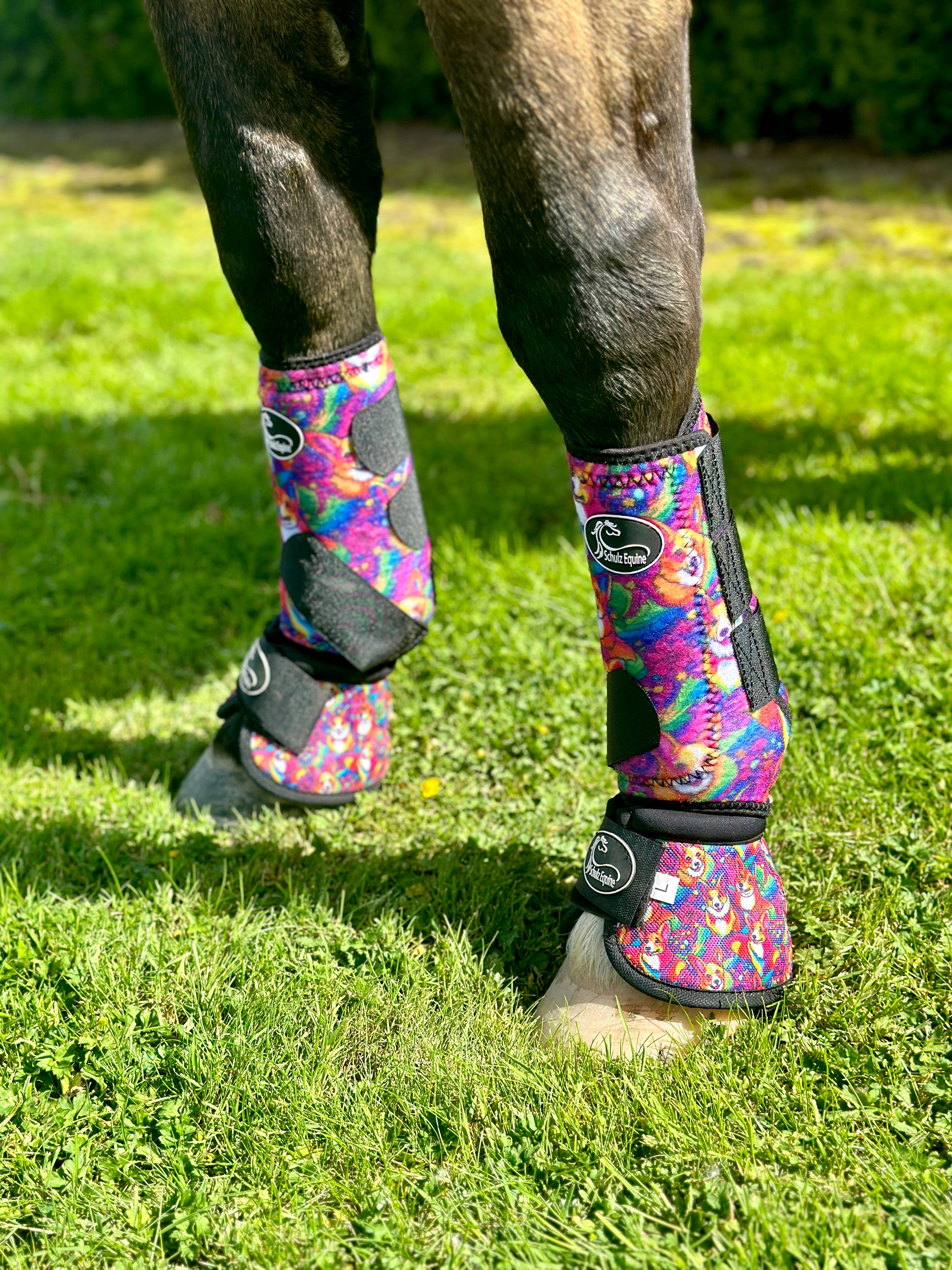 AirFlow Sports Boots- 2 Pack: Crazy Corgi / Medium